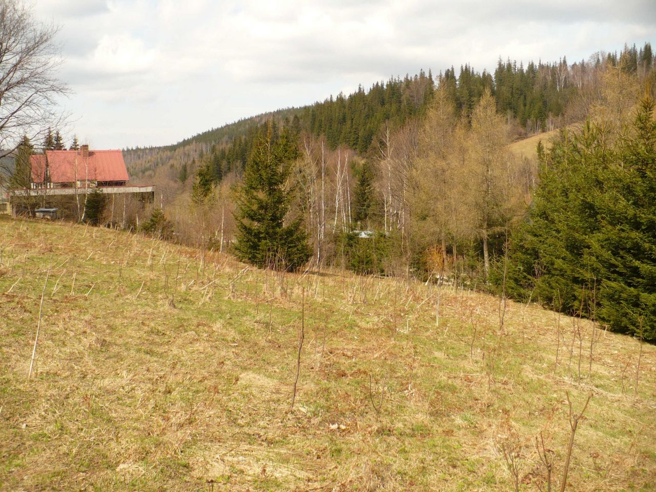 Działka budowlana Nowy Gierałtów. Zdjęcie 7