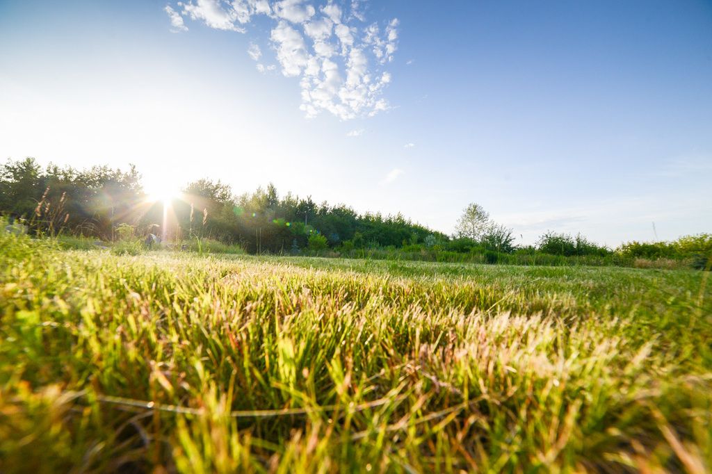 Działka budowlana Warszawa Ursynów, ul. Kurantów. Zdjęcie 16