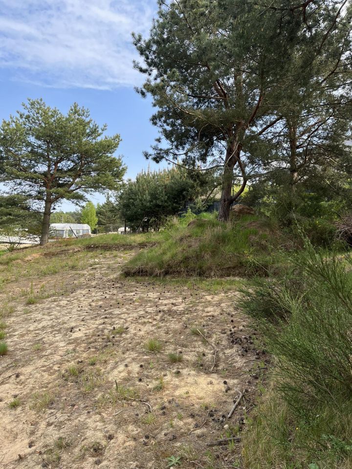 Działka budowlana Mechelinki, ul. Morskie Wzgórze. Zdjęcie 4