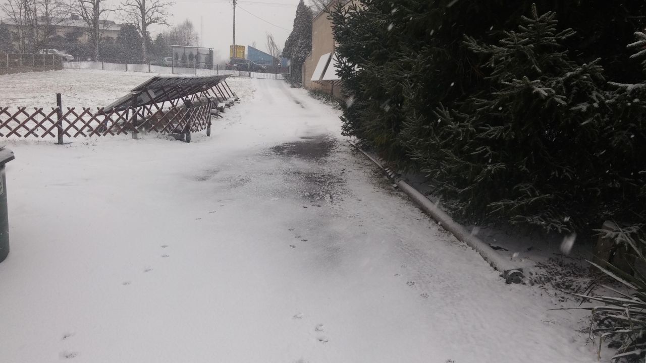 Nieruchomość komercyjna Kalisz Rypinek, ul. Częstochowska. Zdjęcie 4