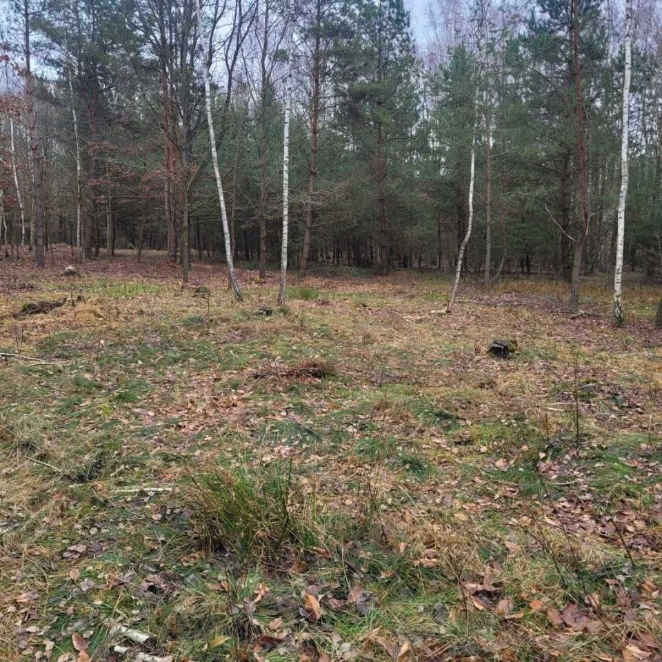 Działka budowlana Grodzisk. Zdjęcie 2