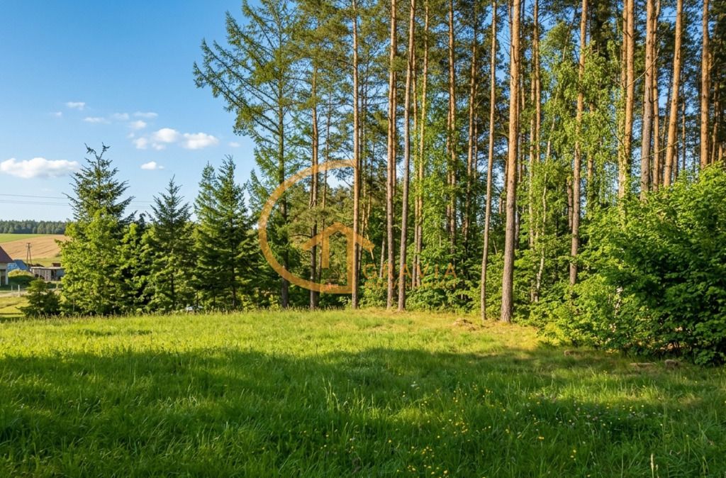 Działka budowlana Przetoczyno, ul. Sami Swoi. Zdjęcie 5