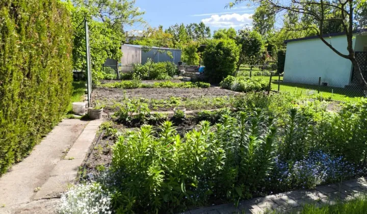 Działka rod Konin, ul. Staromorzysławska