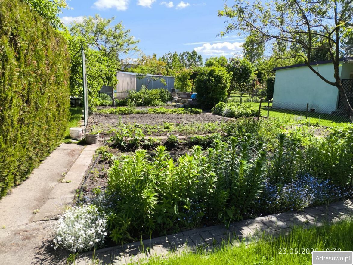 Działka rod Konin, ul. Staromorzysławska. Zdjęcie 1