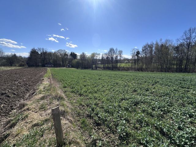 Działka rolno-budowlana Głębowice. Zdjęcie 1