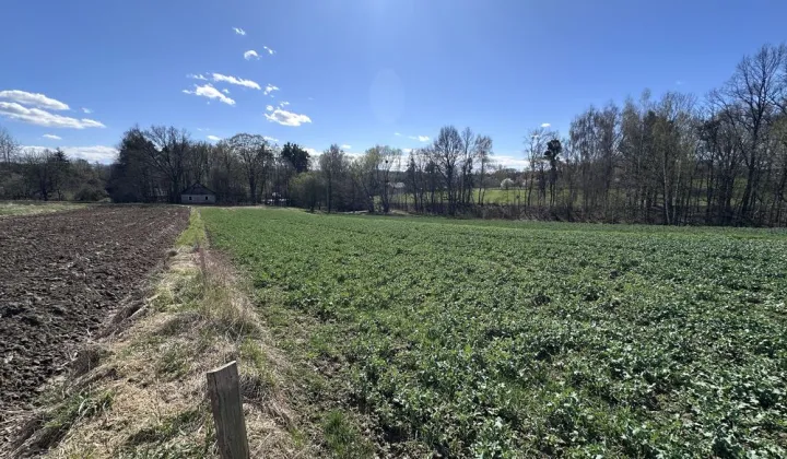 Działka rolno-budowlana Głębowice