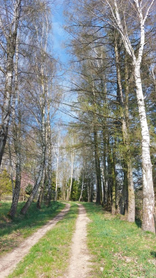 dom wolnostojący, 3 pokoje Mirachowo, ul. Jeziorna. Zdjęcie 29