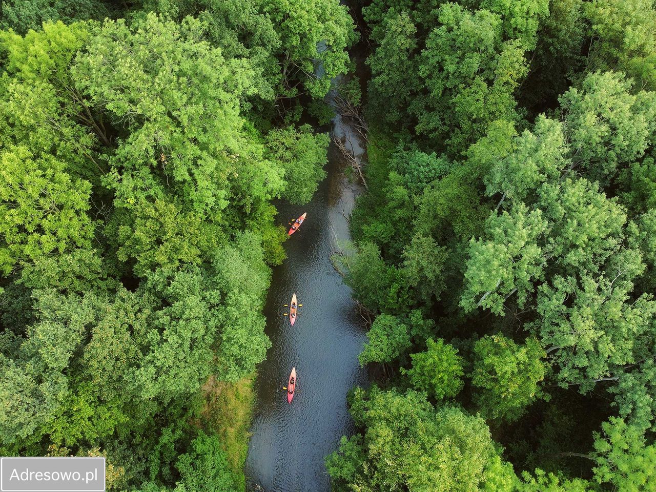 Działka budowlana Skałka. Zdjęcie 8
