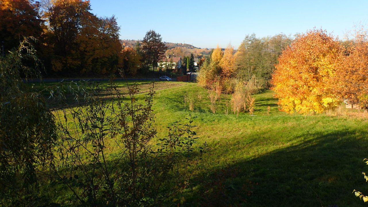 Działka rolna Szczepanowice. Zdjęcie 4