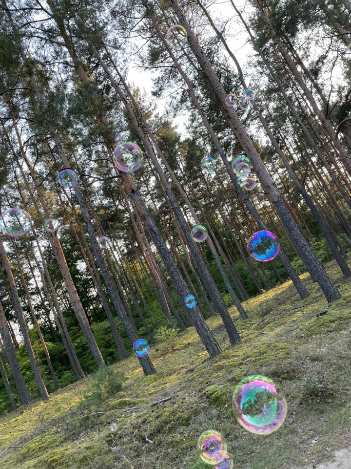 Działka rekreacyjna Wylatkowo, Wylatkowo. Zdjęcie 15