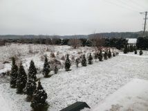 Działka rolno-budowlana Siercz. Zdjęcie 1