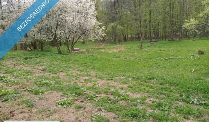 Działka rolna Wilkanów