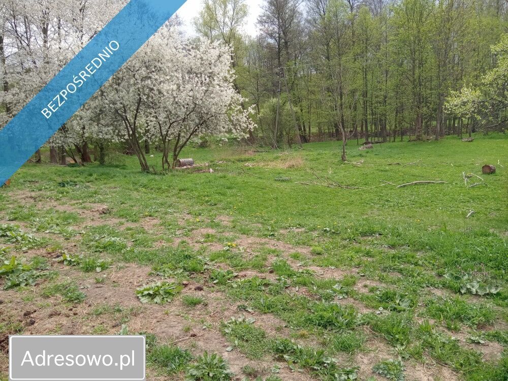 Działka rolna Wilkanów