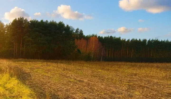 Działka Ciotusza Stara