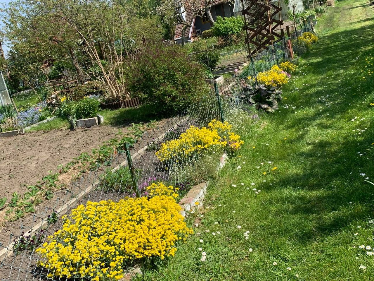 Działka rod Dankowo. Zdjęcie 6