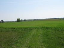 Działka rolna Tajenko. Zdjęcie 2