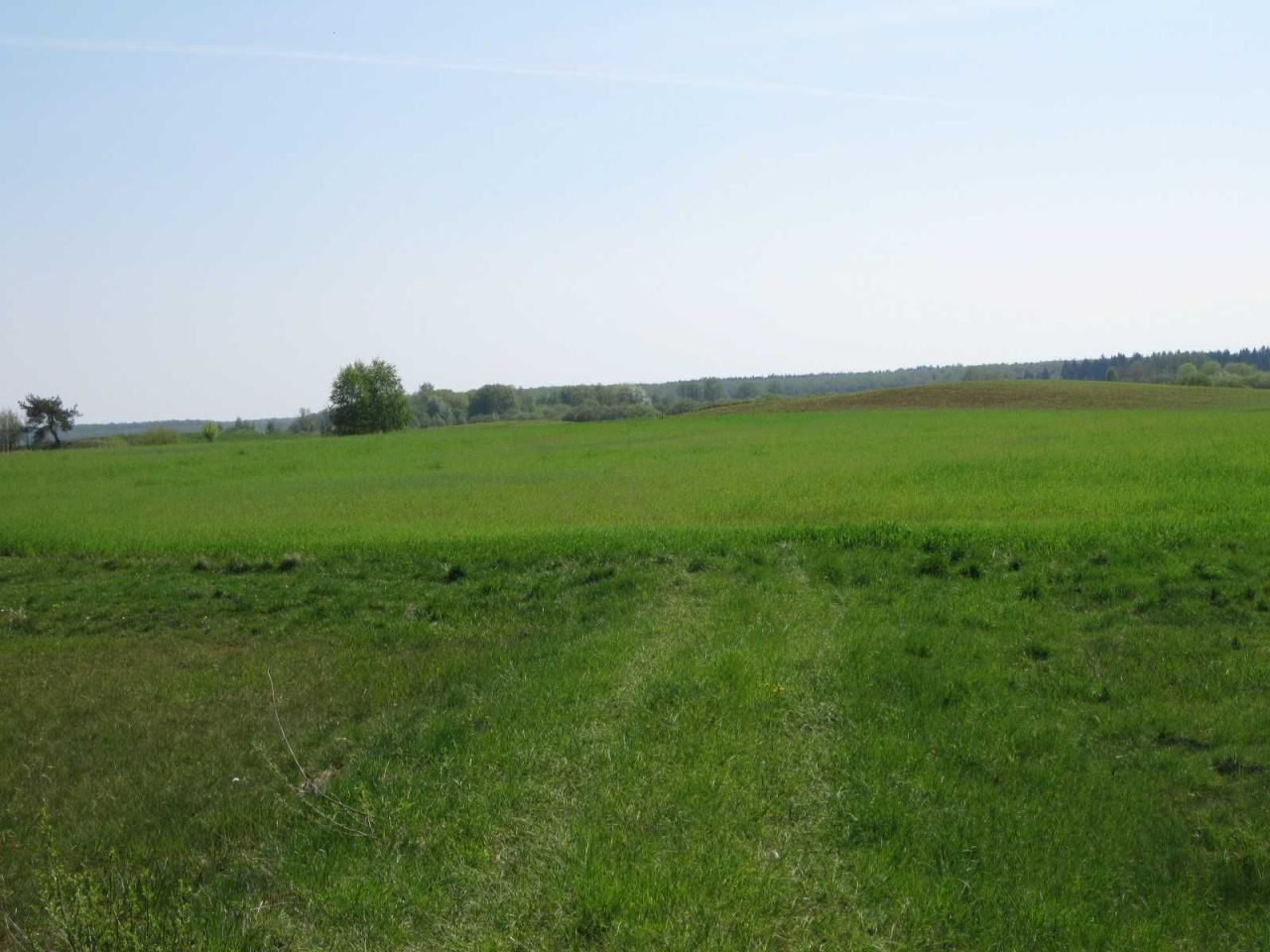 Działka rolna Tajenko. Zdjęcie 3