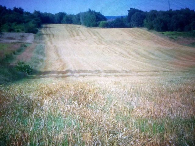 Działka inwestycyjna Rybnik Meksyk. Zdjęcie 1
