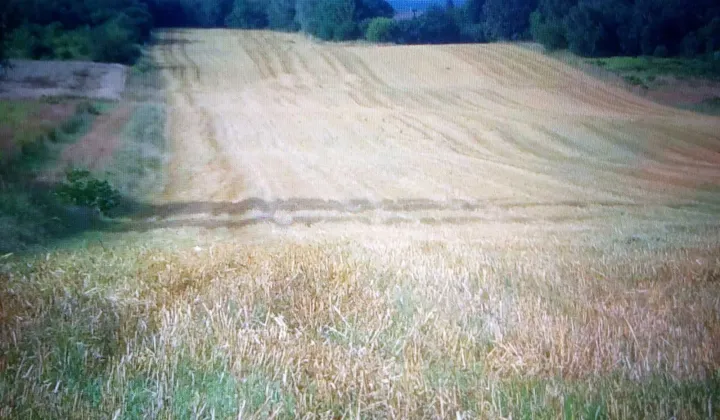 Działka inwestycyjna Rybnik Meksyk