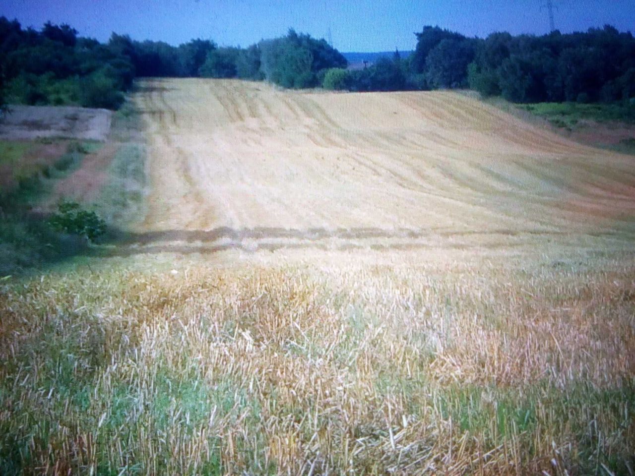 Działka inwestycyjna Rybnik Meksyk