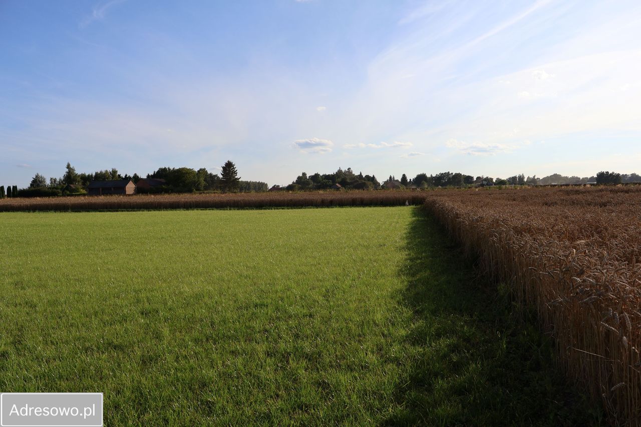 Działka budowlana Chyża. Zdjęcie 9