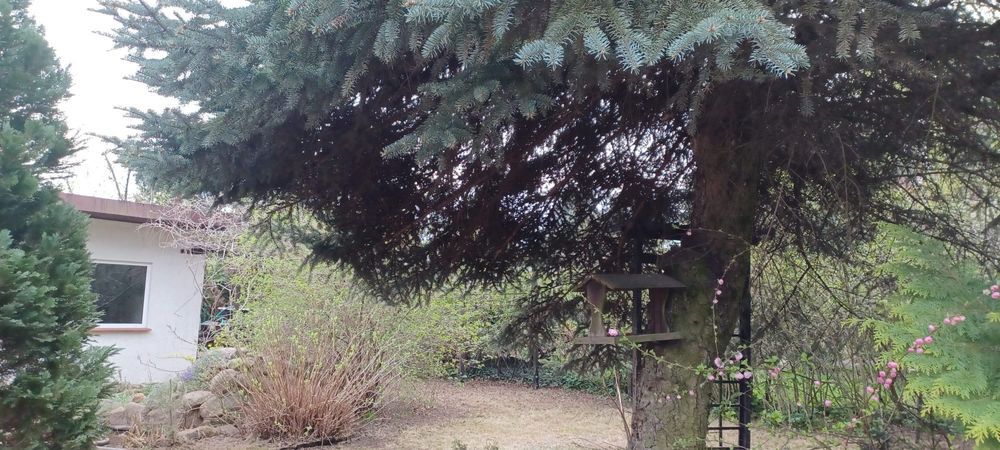 Działka rod Poznań Ławica. Zdjęcie 4