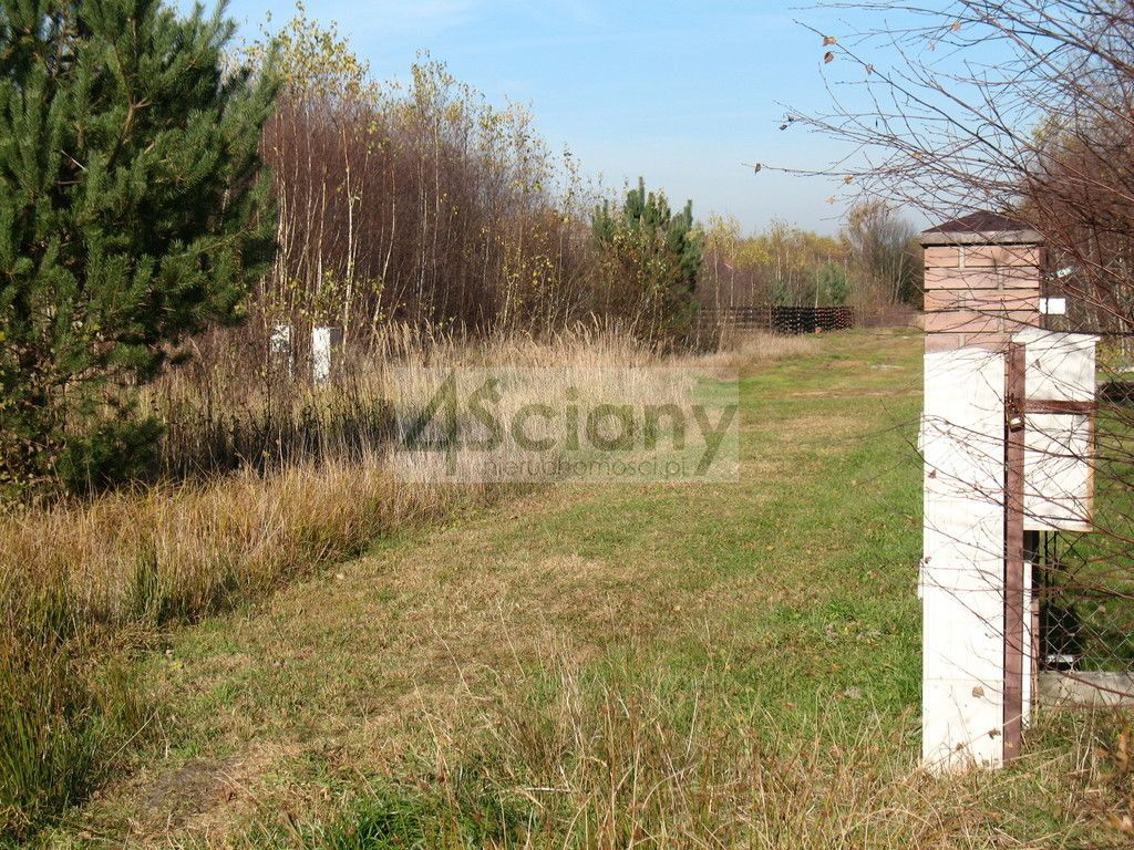 Działka budowlana Studzieniec. Zdjęcie 3