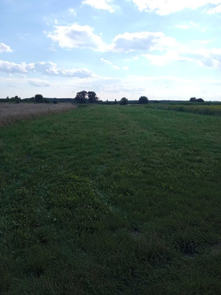 Działka rolna Koprzywnica. Zdjęcie 5