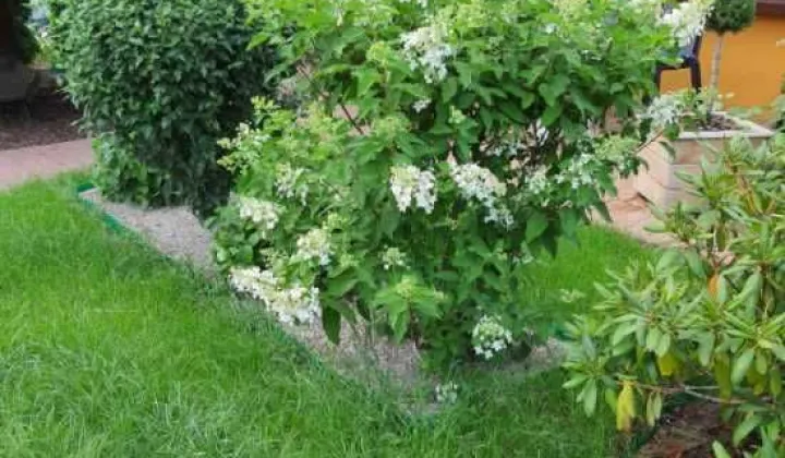 Działka rod Szamotuły