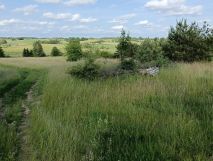 Działka rolno-budowlana Burdąg