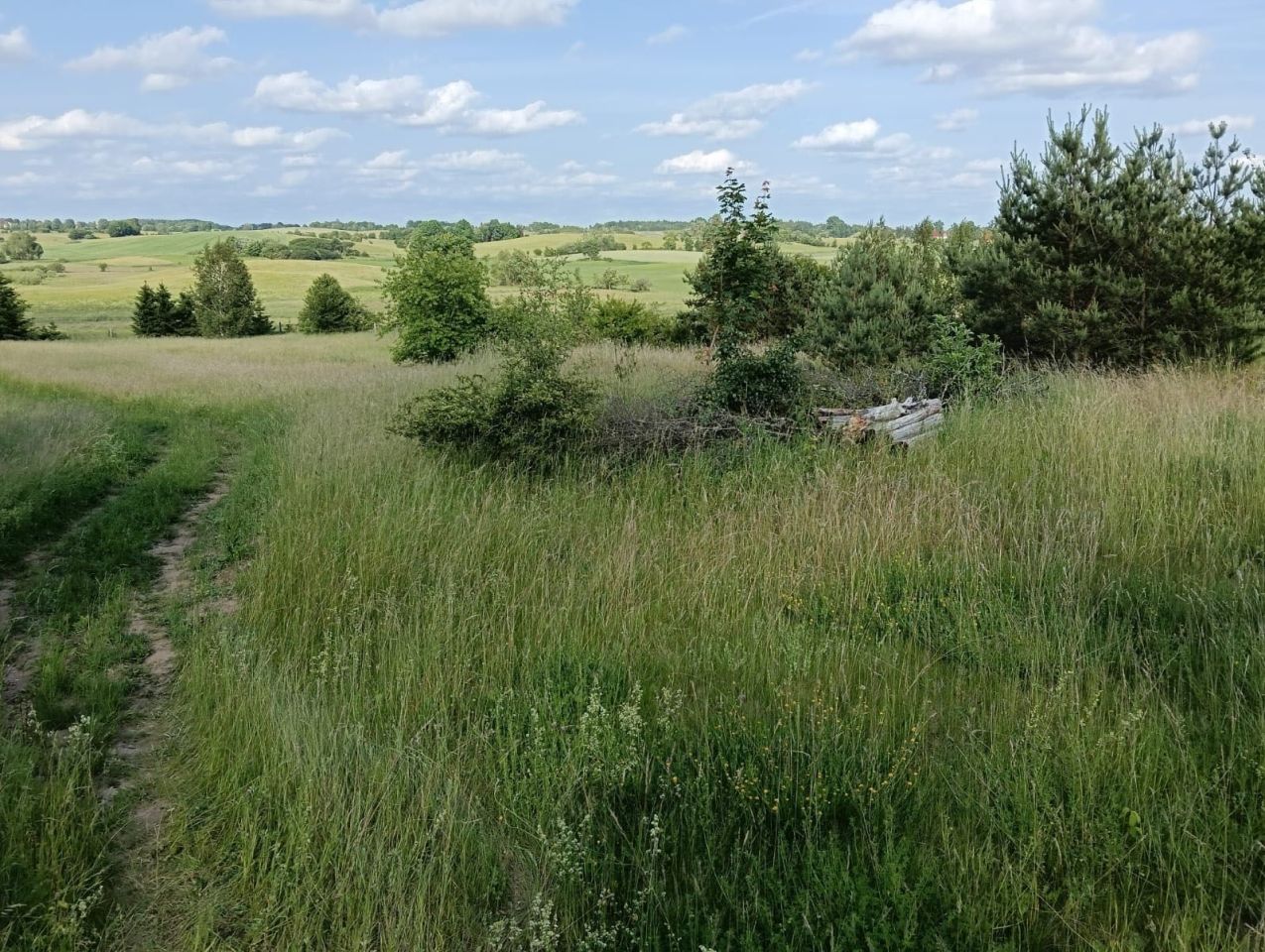 Działka rolno-budowlana Burdąg