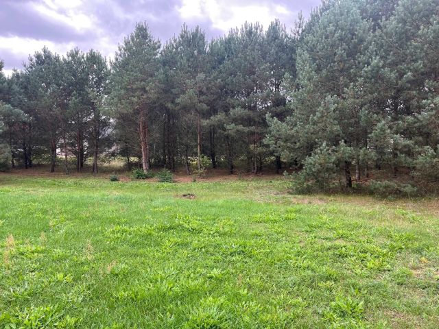 Działka budowlana Rychlik. Zdjęcie 1