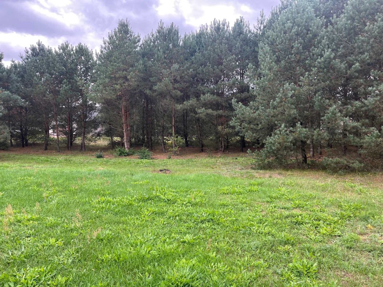 Działka budowlana Rychlik