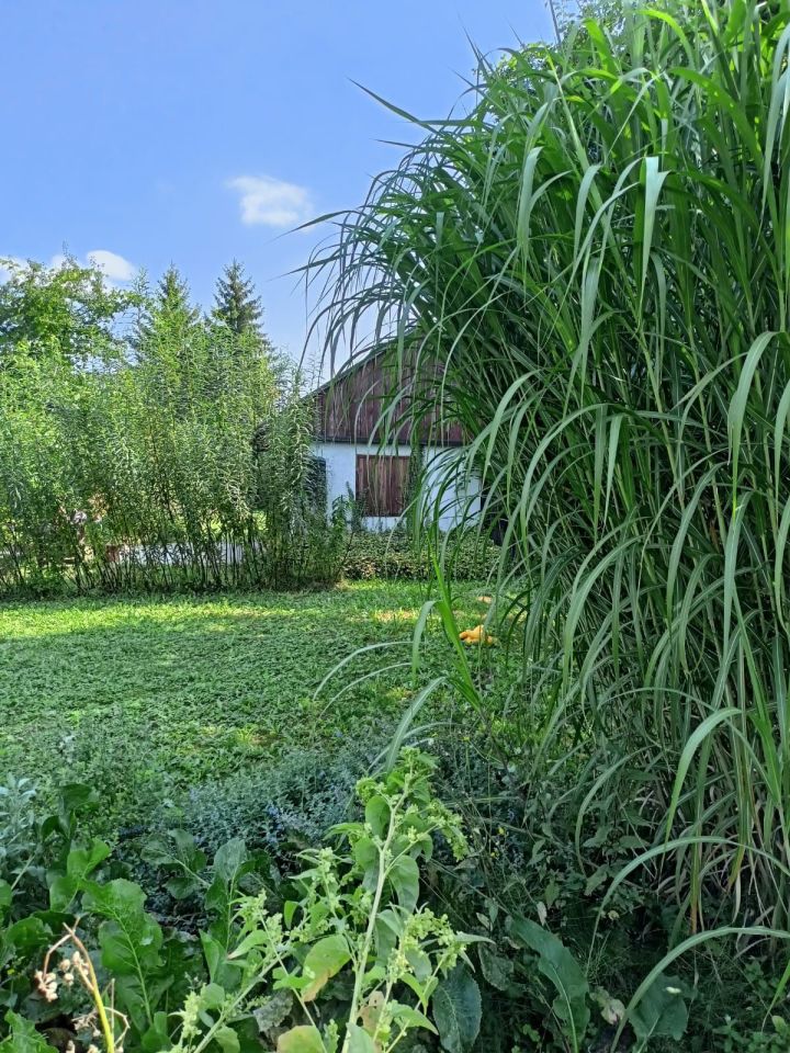 Działka rod Zamość, ul. Altanowa. Zdjęcie 6