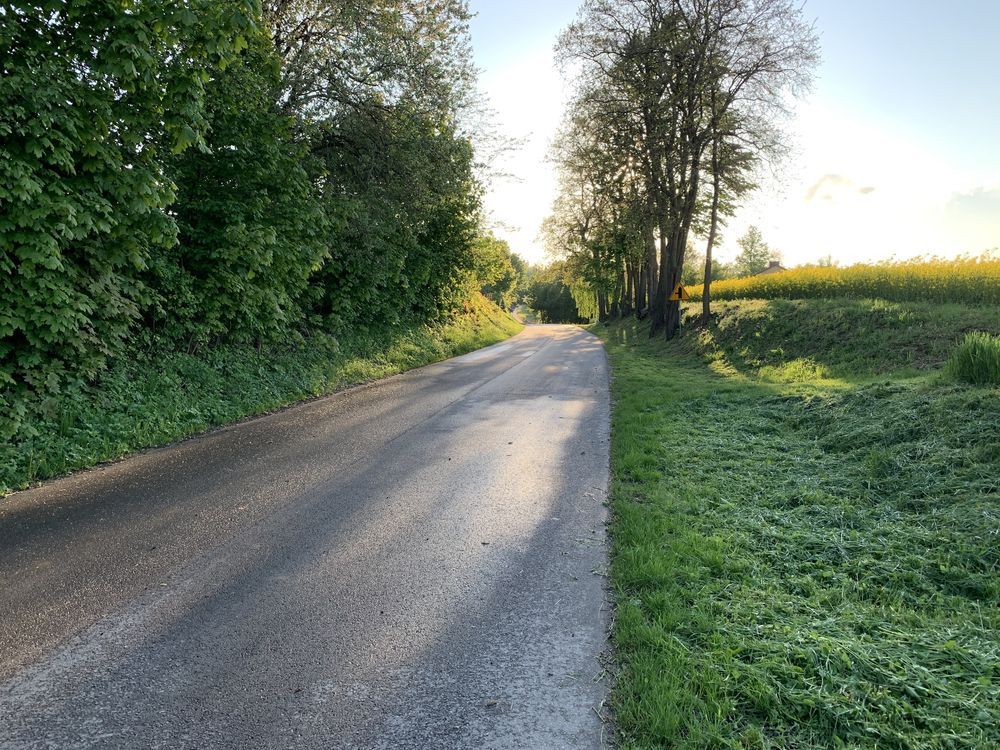 Działka rolno-budowlana Zajączkowice. Zdjęcie 8