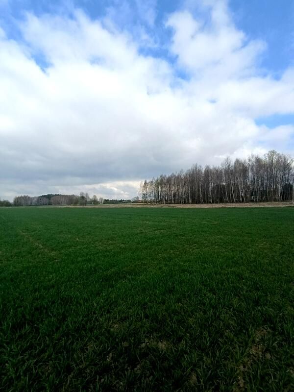 Działka budowlana Świerzowa Polska. Zdjęcie 11