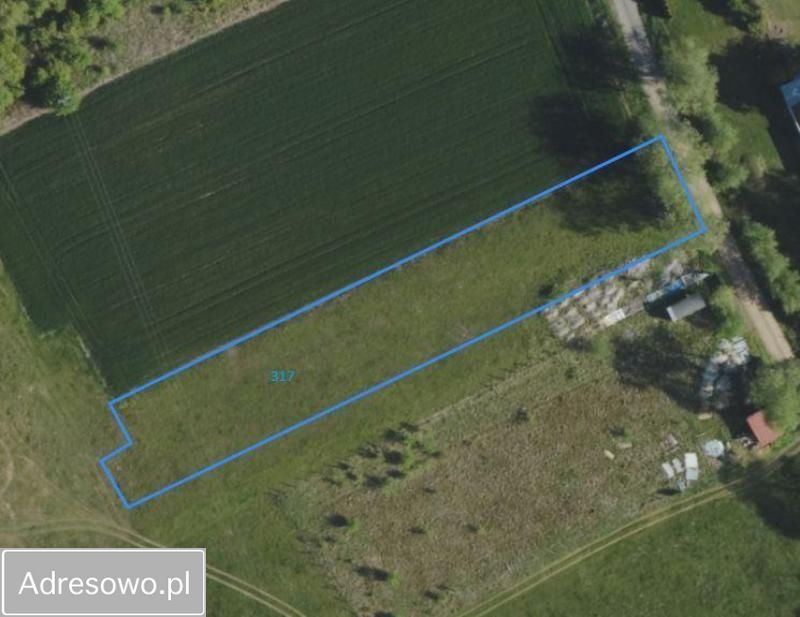 Działka rolno-budowlana Klewinowo. Zdjęcie 10