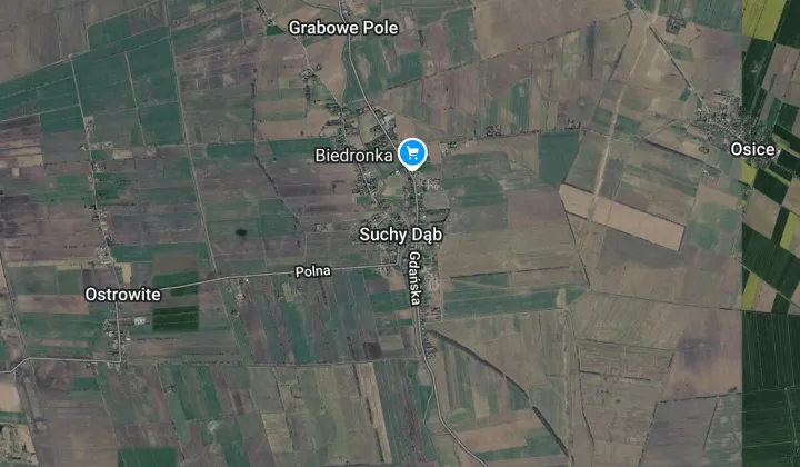 dom wolnostojący, 6 pokoi Suchy Dąb