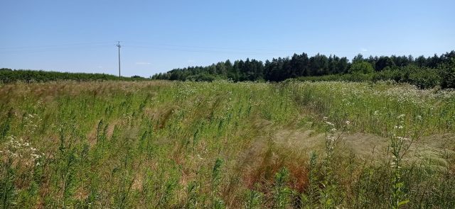 Działka rolno-budowlana Kajetanówka, Wiśniowa. Zdjęcie 1