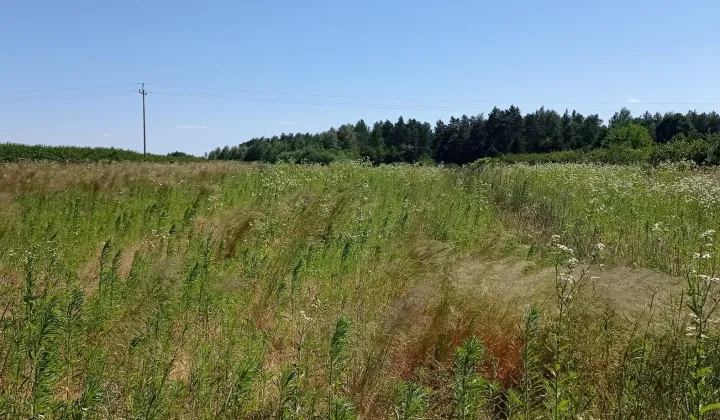 Działka rolno-budowlana Kajetanówka, Wiśniowa