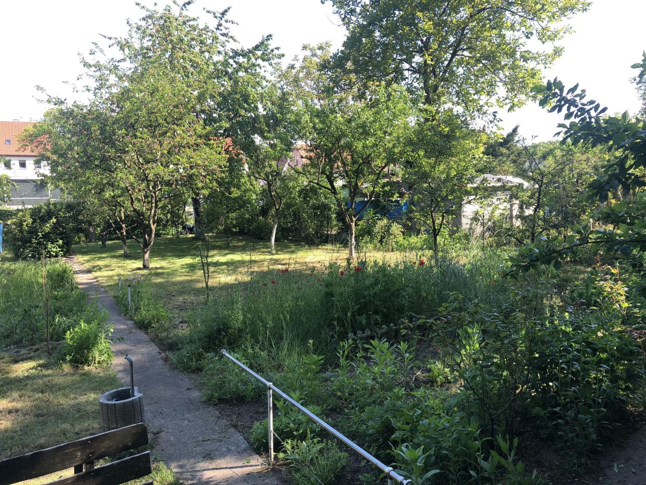 Działka rekreacyjna Szczecin Niebuszewo, ul. Wszystkich Świętych