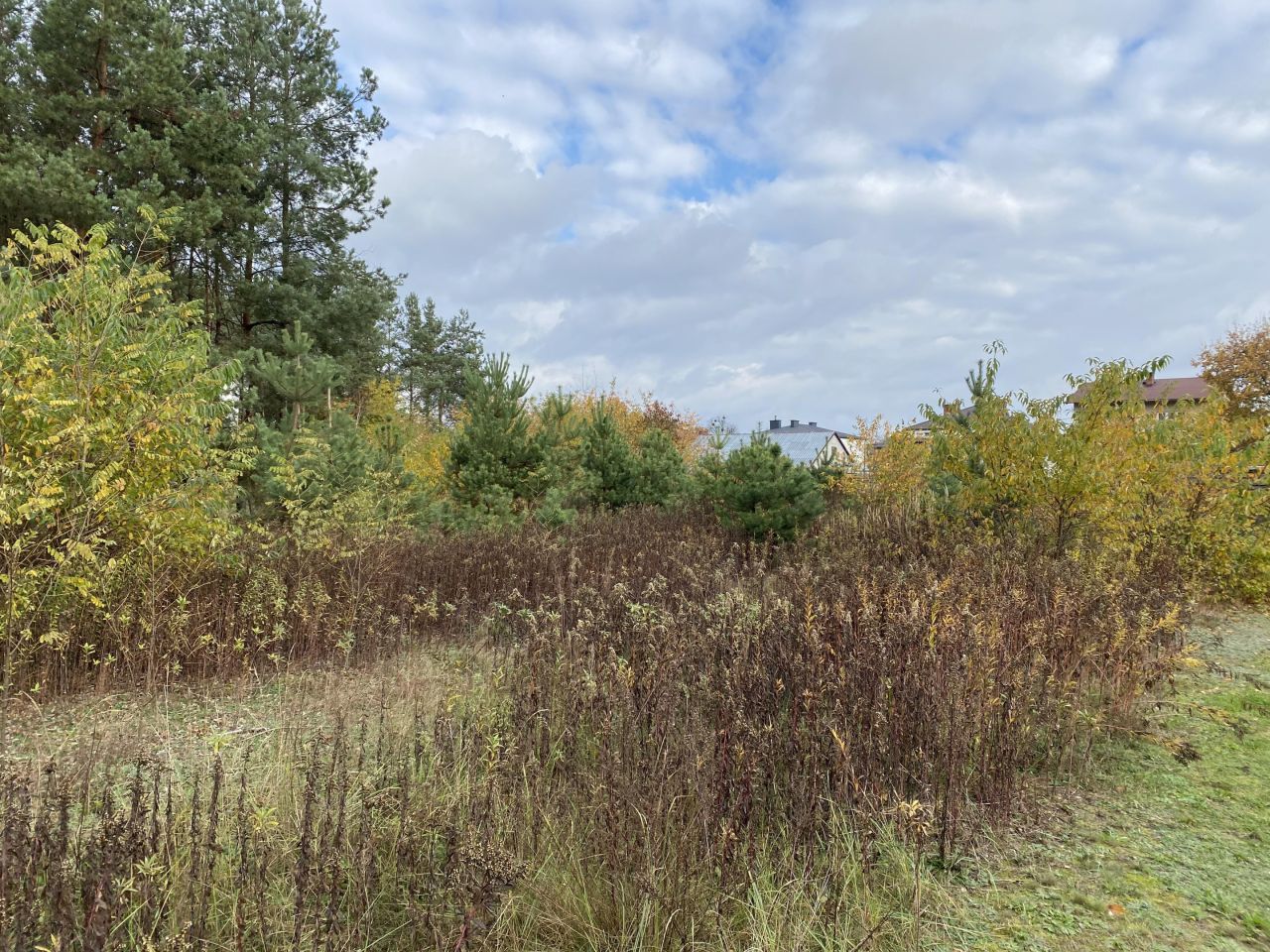 Działka budowlana Radomyśl nad Sanem, os. Słoneczne. Zdjęcie 7