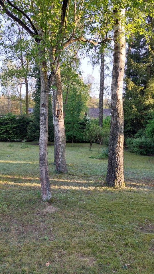 Działka budowlana Sokolniki-Las. Zdjęcie 5