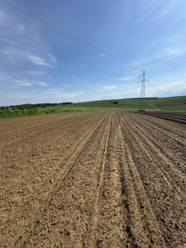 Działka rolna Żurawica Bażantarnia. Zdjęcie 4