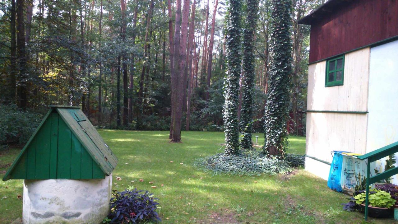 Działka budowlana Sokolniki-Las, ul. Adama Mickiewicza. Zdjęcie 3