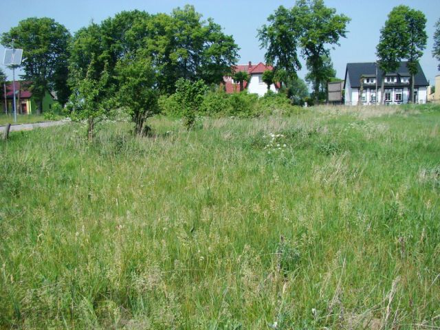 Działka budowlana Nowe Warpno. Zdjęcie 1