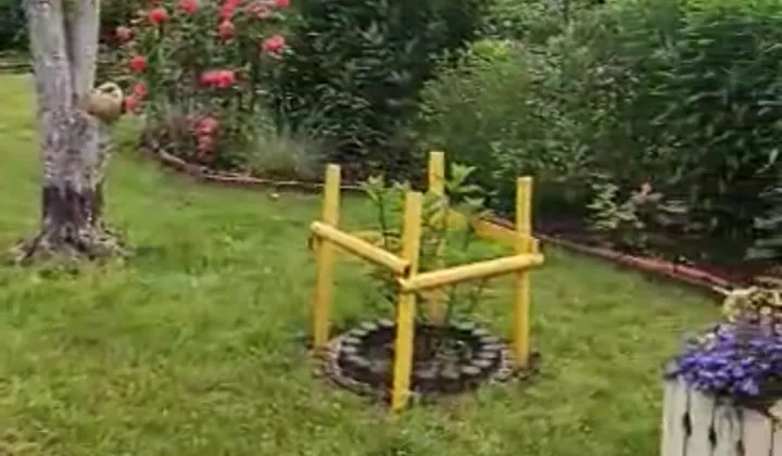 Działka rod Włocławek, ul. Jastrzębia