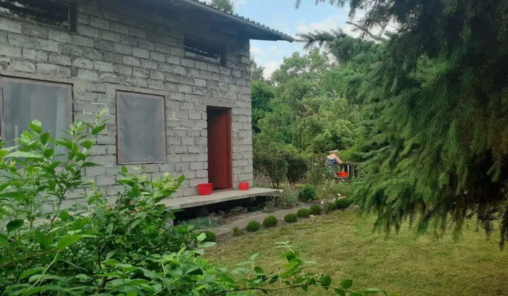 Działka rod Aleksandrowice