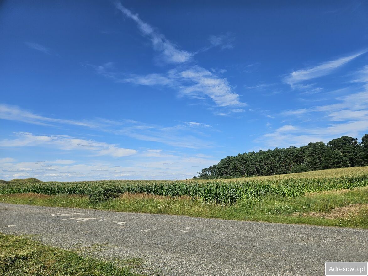 Działka budowlana Sękowo. Zdjęcie 4