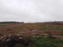 Działka budowlana Wielebnów. Zdjęcie 1